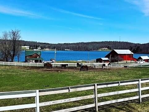 Duck Harbor Antiques Etcetera Antique Store as viewed from Duck Harbor Road Equinunk Pennsylvania